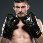 Boxhandschuhe Fairtex x Glory BGVG3 Schwarz-Silber