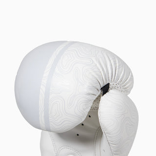 Boxhandschuhe Combat Arena Sonar