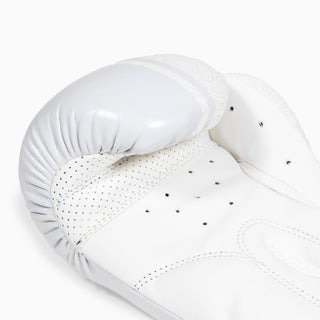 Boxhandschuhe Combat Arena Sonar