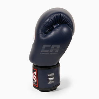Muay Thai Handschuhe Twins Special BGVL3 Blau