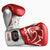Boxhandschuhe Rival Professionelles Sparring RS100 mit Schnürsenkeln