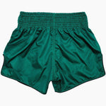 Pantaloncini kick-thai Fairtex BS1913 Tiger