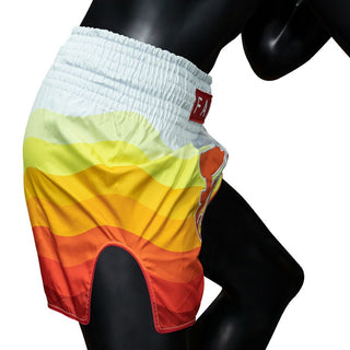 Kick-Thai Shorts Fairtex BS1932 Spectrum