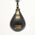 Boxbirne Leone DNA AT805 Schwarz-Gold