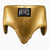 Tiefschutz Boxen Cleto Reyes Extra Schutz Gold 