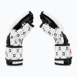 MMA-Handschuhe Fairtex 4 oz FGV17 