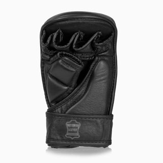 MMA Sparring Handschuhe Combat Arena Heritage 