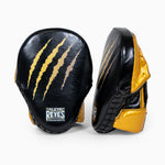 Cleto Reyes Tiger Passing Handschuhe