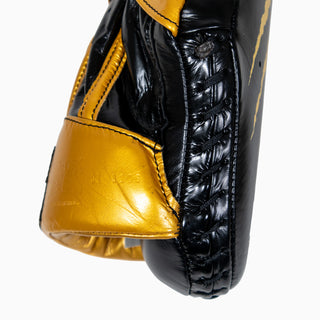 Cleto Reyes Tiger Passing Handschuhe