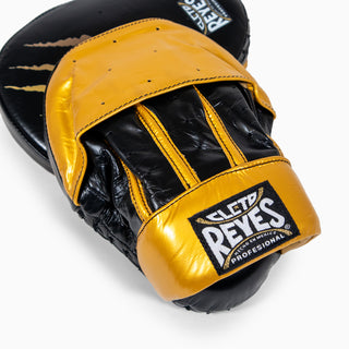 Cleto Reyes Tiger Passing Handschuhe