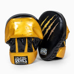 Cleto Reyes Tiger Passing Handschuhe