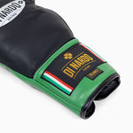 Boxhandschuhe Di Nardo mit Schnürsenkel 14 Oz Schwarz-grün-Combat Arena