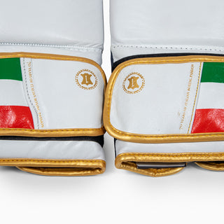 Boxhandschuhe Leone Italien GN039 