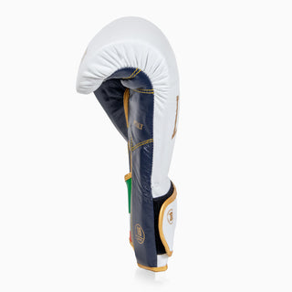 Boxhandschuhe Leone Italien GN039 