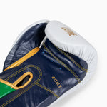 Boxhandschuhe Leone Italien GN039 