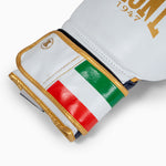 Boxhandschuhe Leone Italien GN039 