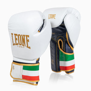 Boxhandschuhe Leone Italien GN039 