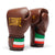 Boxhandschuhe Leone Italien GN039 