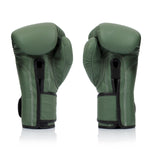 Muay Thai Handschuhe Fairtex BGV11 F-Tag 