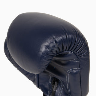 Muay Thai Handschuhe Twins Special BGVL3 Blau