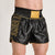 Shorts kick-Thai Leone DNA Premium AB969 Schwarz 