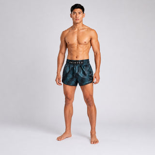 Kick-Thai Shorts Fairtex BS1902 Stealth #2