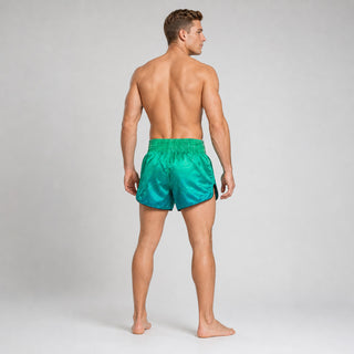 Kick-Thai Shorts Fairtex BS1953 Quantum
