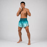 Kick-Thai Shorts Fairtex BS1906 Fade Grün